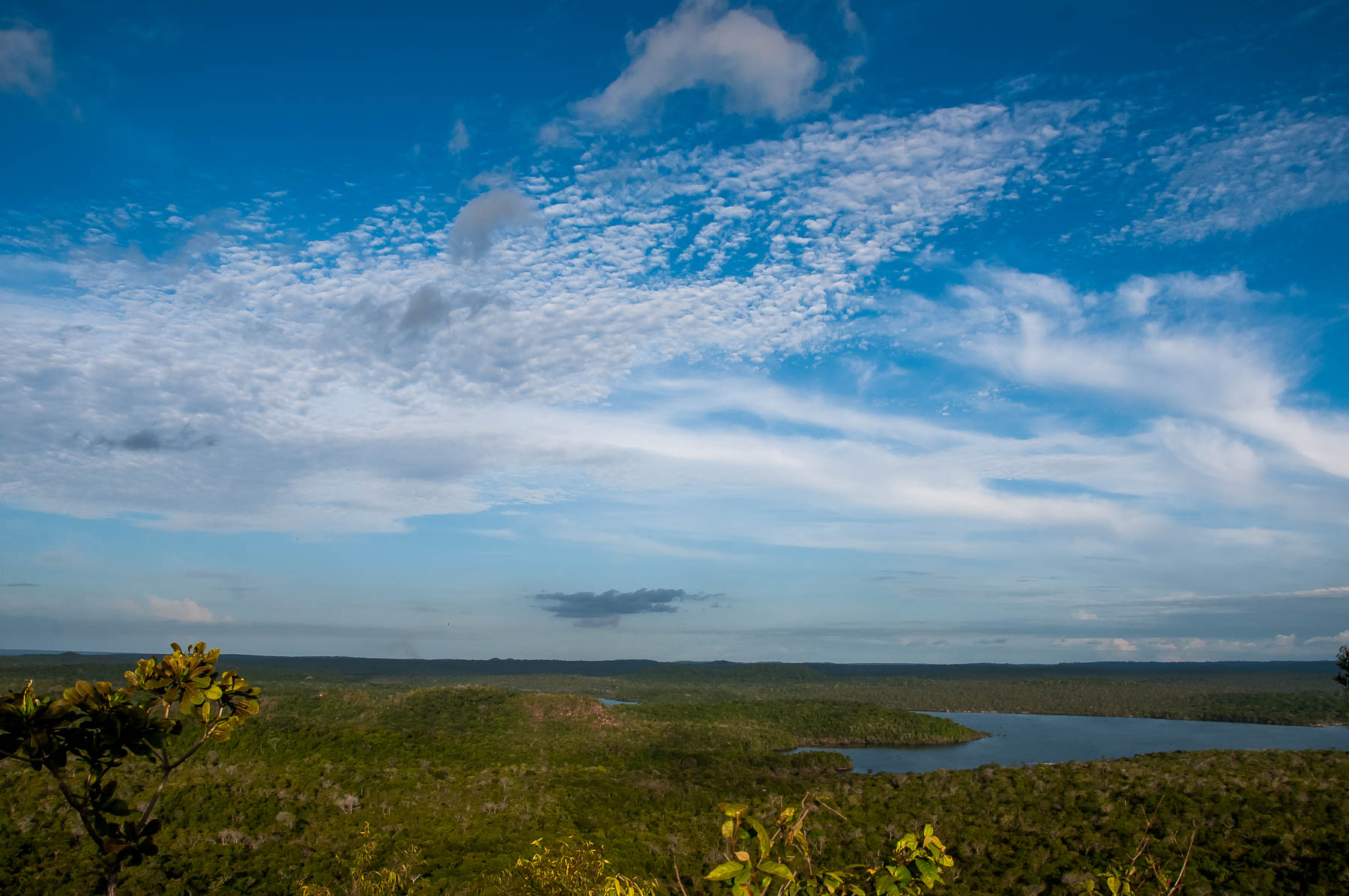 Várzea amazônica com vegetação e canais de água vista do alto